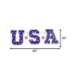 Picture of 2D USA Sign