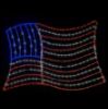 Picture of 2D American Flag