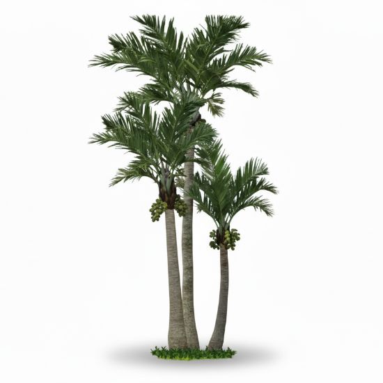 Picture of 17' Palm Tree