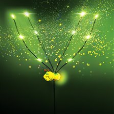 Image of LED Fireflites Firefly WAS: $43.00
