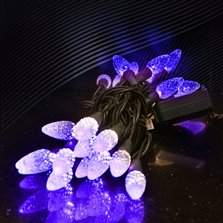 Image of 50L C6 LED - Purple with Gr Cord - 4" Spacing