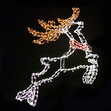 Image of In-Depth Reindeer 72"