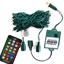 Image of 50L 5MM Dynamic RGB - Gr Cord/RGB - 4" Spacing Kit with Controller and Remote