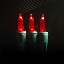 Image of T5 50L 4" Spacing LED Red Gr Cord