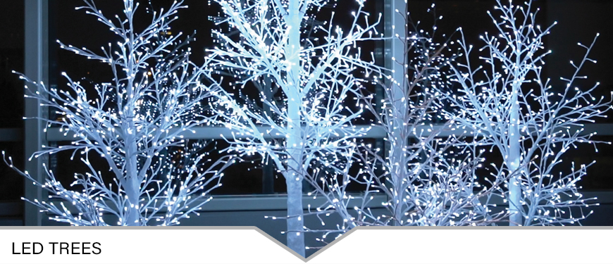 Header image for WINTERWILLOWTREES